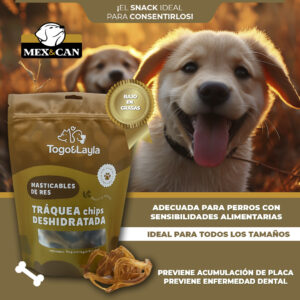 Tráquea de Res Deshidratada Chips